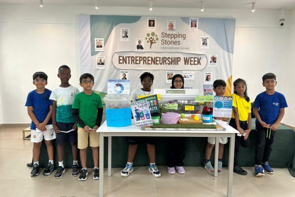 Stepping-Stones-Entrepreneurship-Week-8